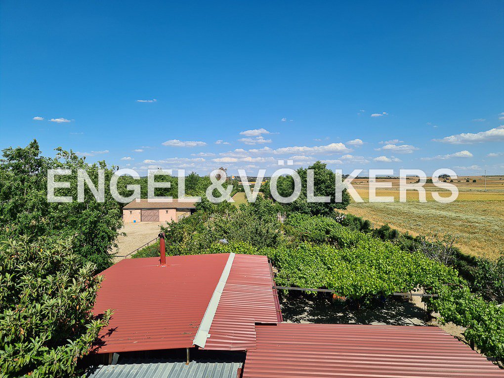 House in Fuente el Saz de Jarama, Comunidad de Madrid, Spain 5 - 13141311