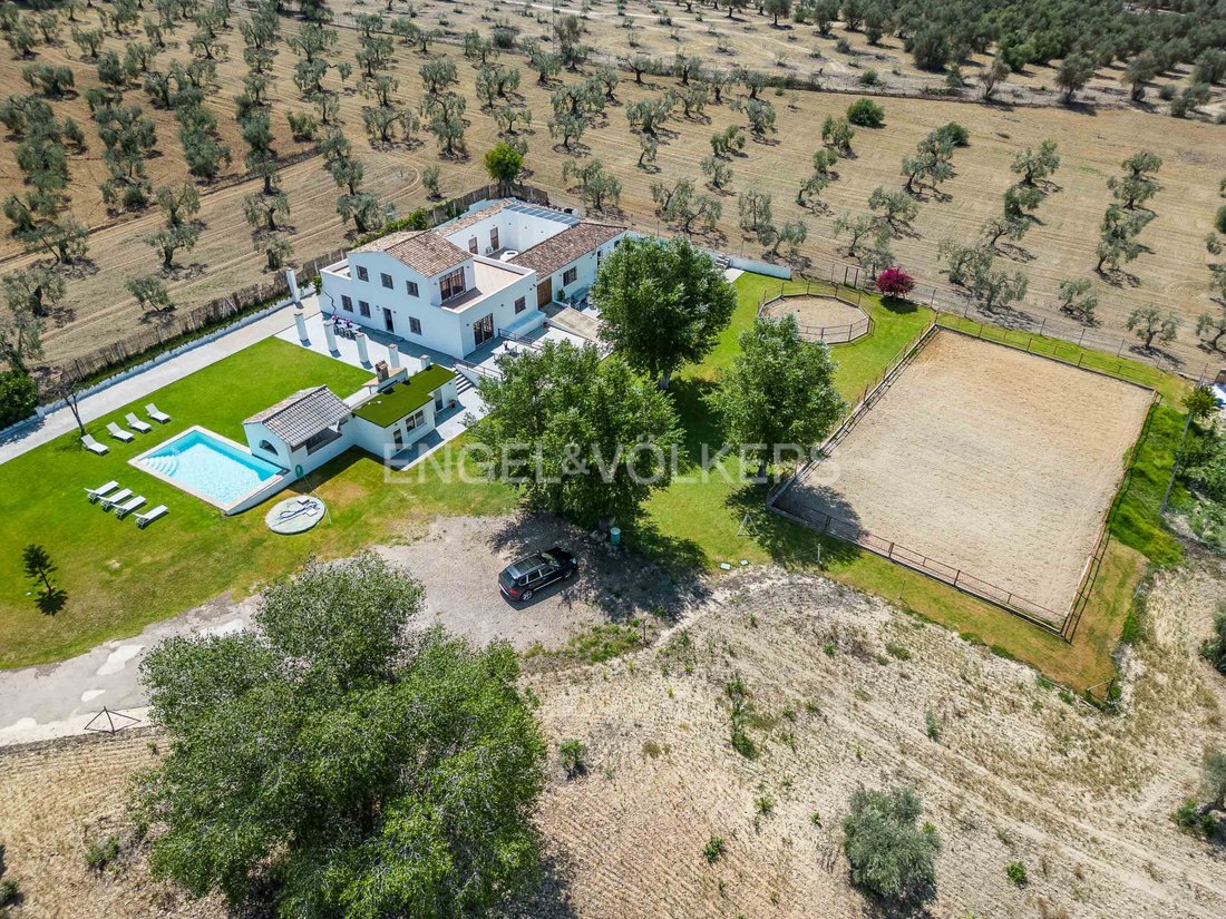 Finca en Espartinas, Andalucía, España 1 - 13144919