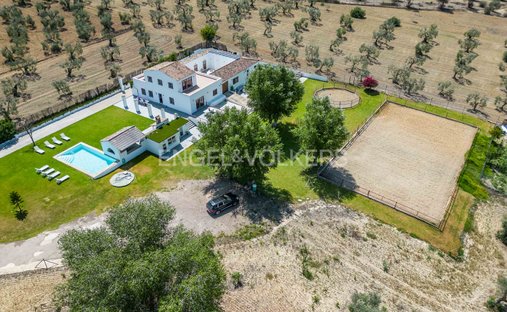 Finca in Espartinas, Andalusia, Spain 1