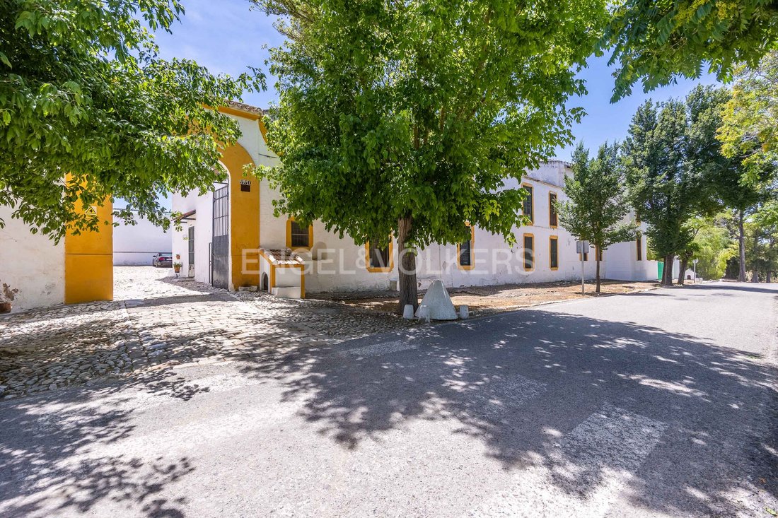 Osuna, Andalusia, Spain 5 - 14372424
