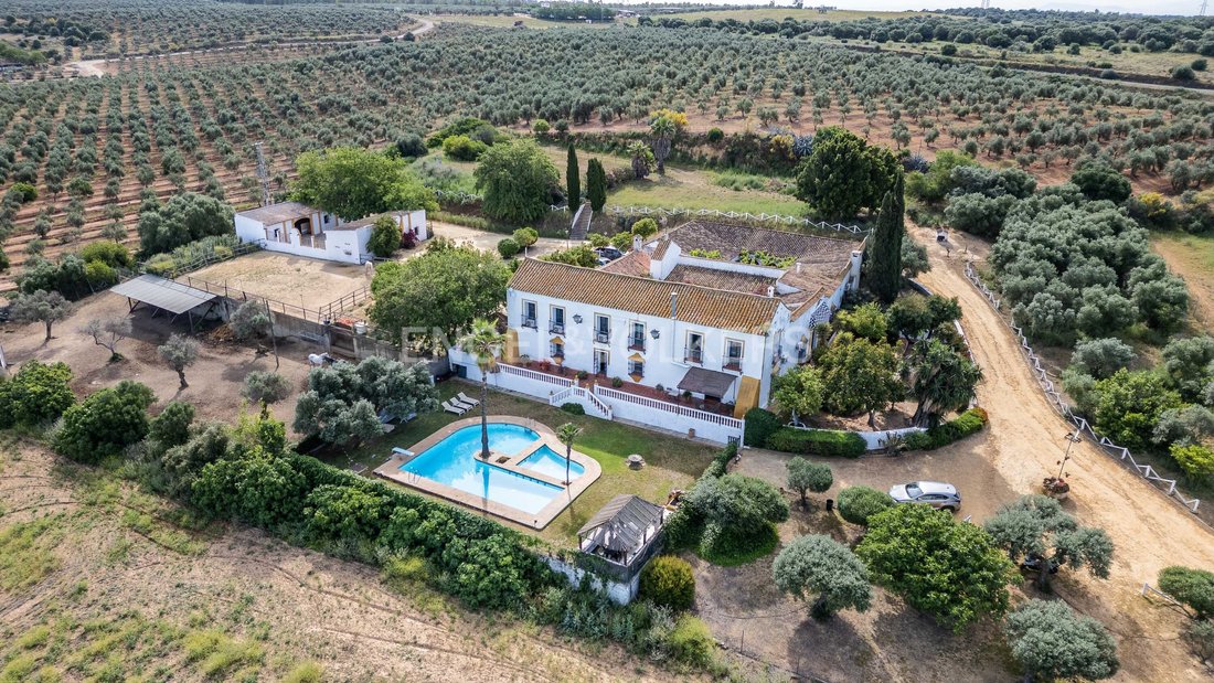 Finca in Alcala de Guadaira, Andalusia, Spain 3 - 14180600