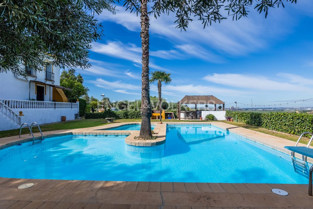 Finca in Alcala de Guadaira, Andalusia, Spain 2 - 14180600