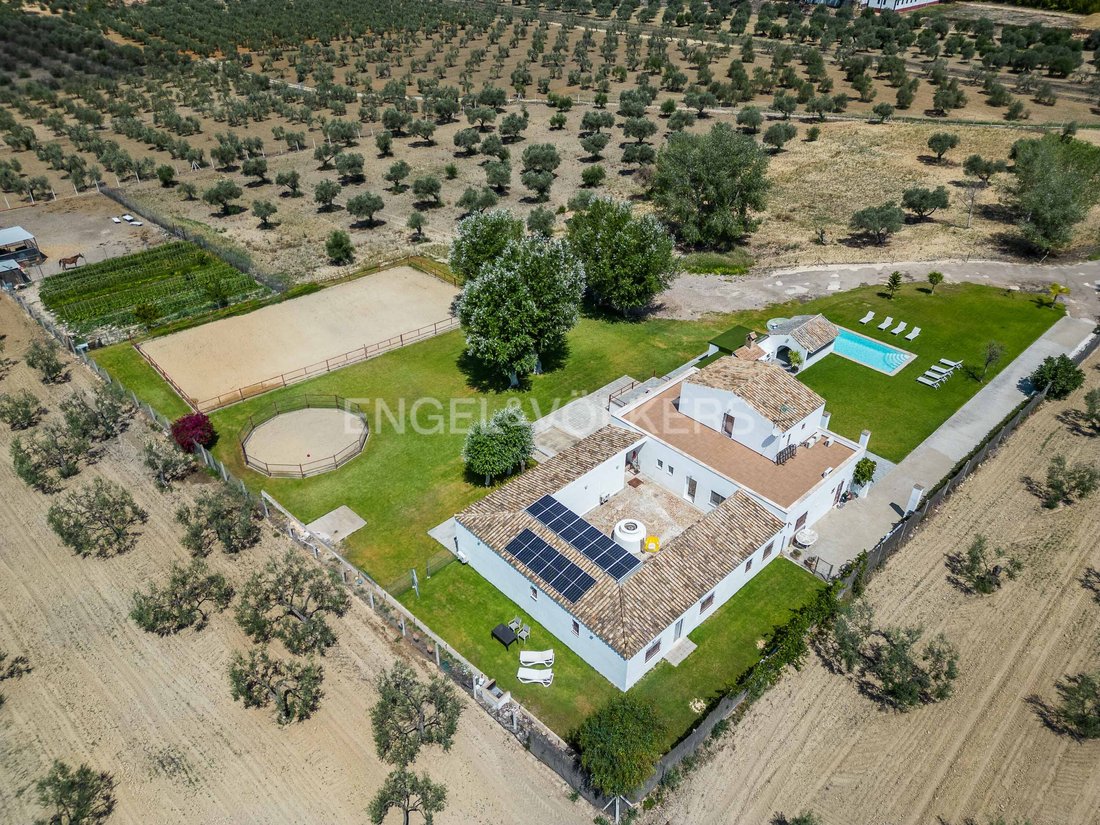 Finca en Espartinas, Andalucía, España 4 - 13144919
