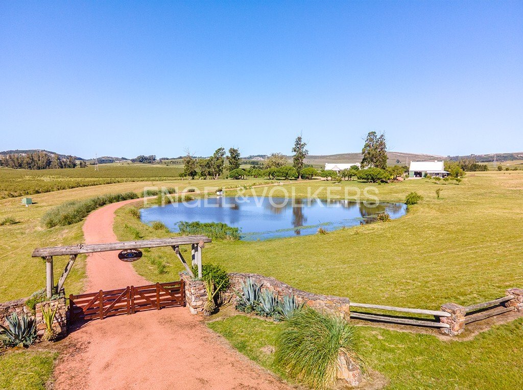 Country House in San Carlos, Maldonado Department, Uruguay 2 - 15399437