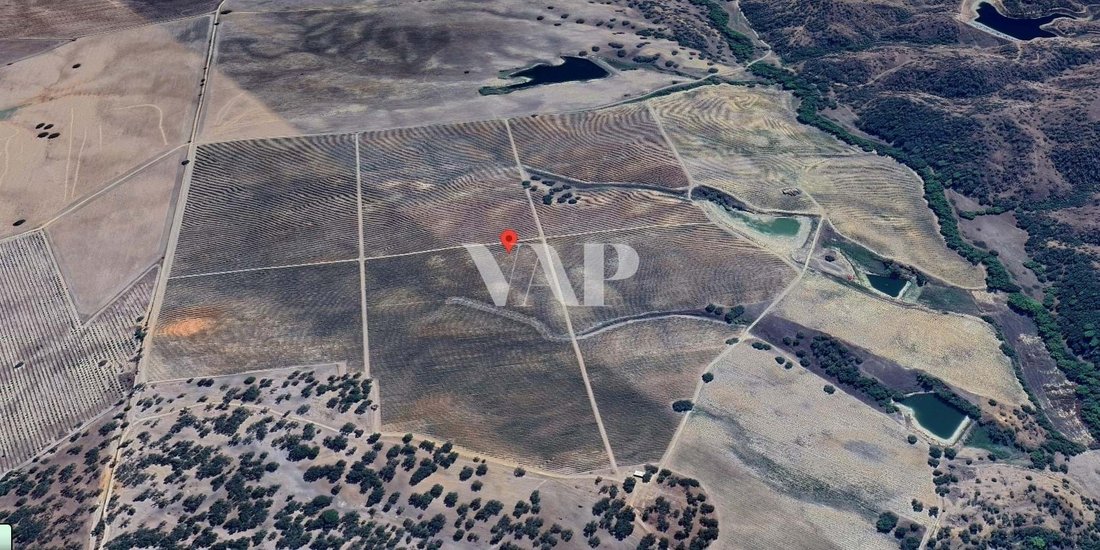 Land in Vendas Novas, Évora District, Portugal 5 - 15401019