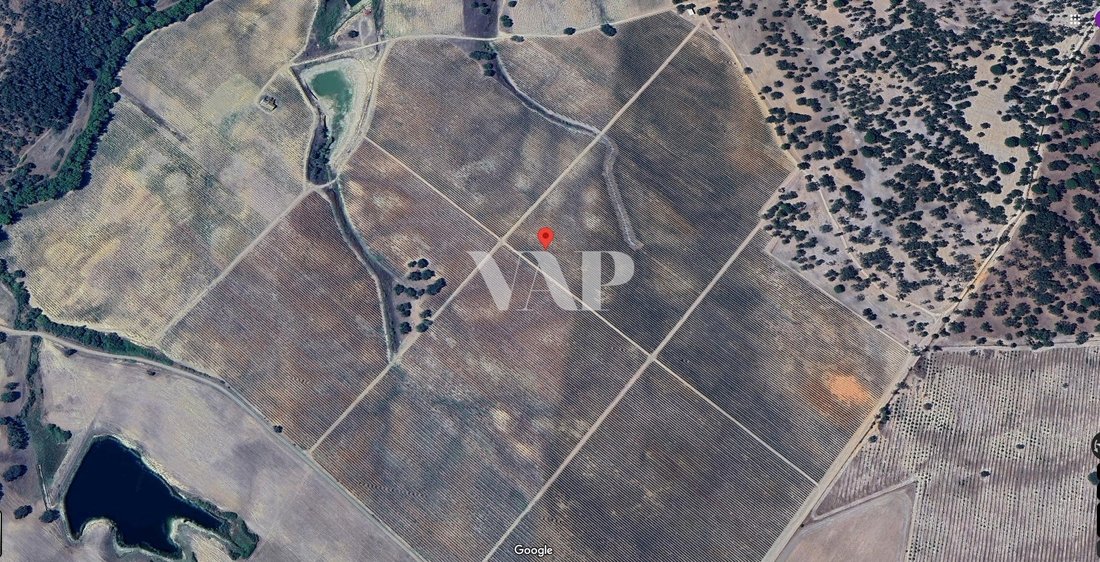 Land in Vendas Novas, Évora District, Portugal 1 - 15401019
