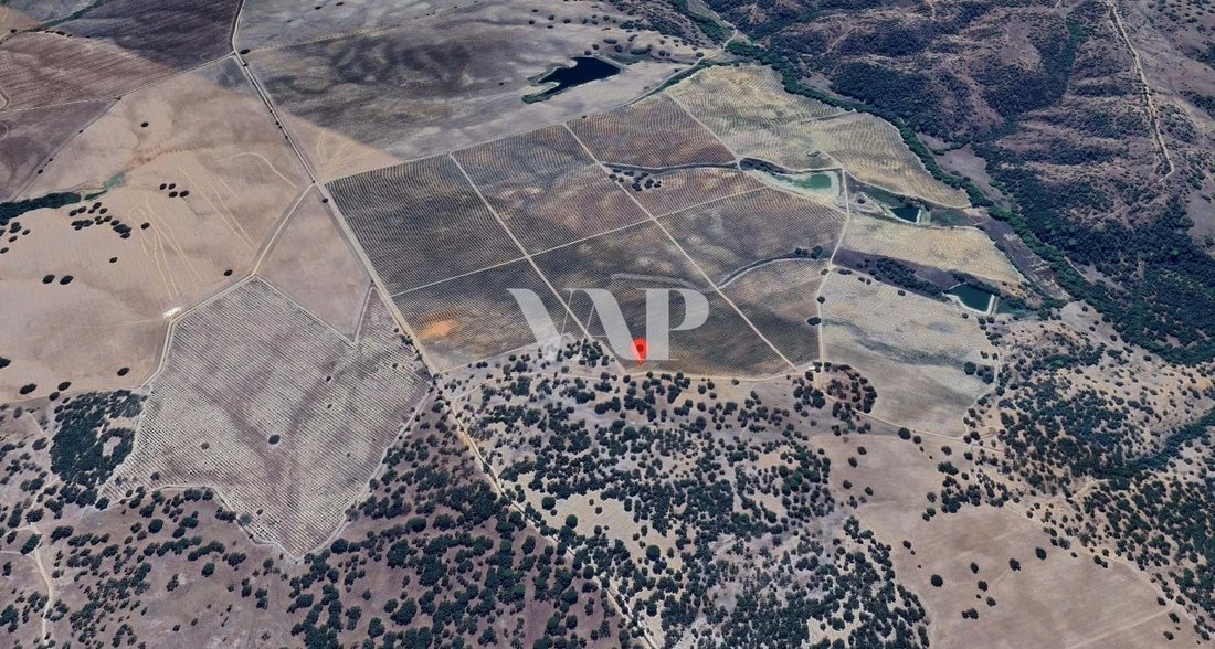 Land in Vendas Novas, Évora District, Portugal 3 - 15401019