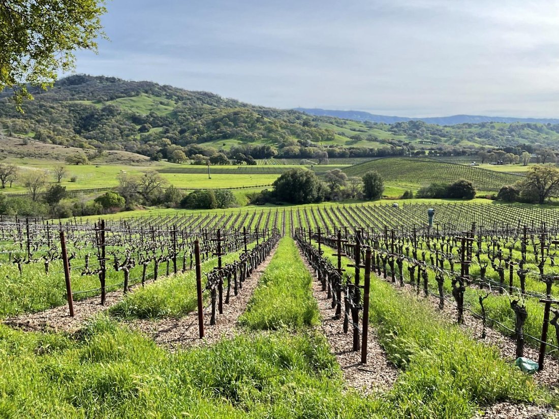 House in Napa, California, United States 1 - 15399895