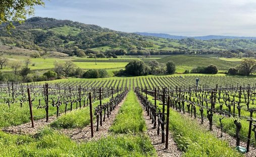 House in Napa, California, United States 1
