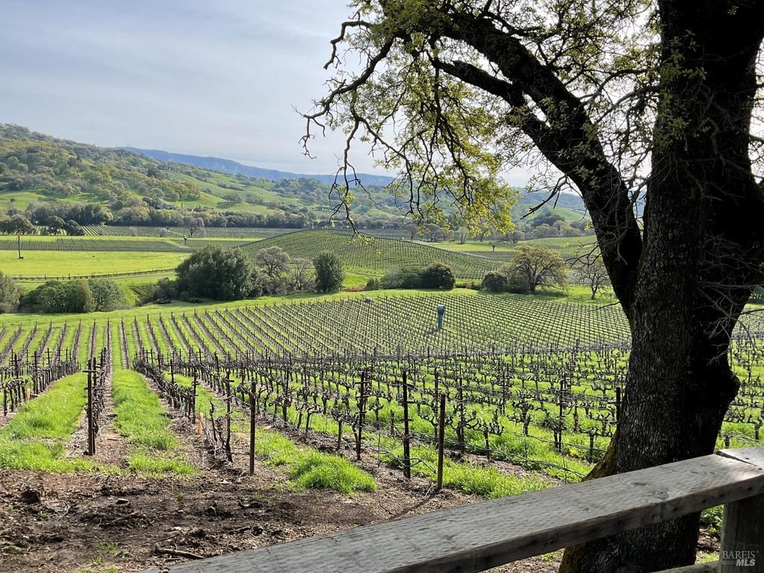 House in Napa, California, United States 4 - 15399895