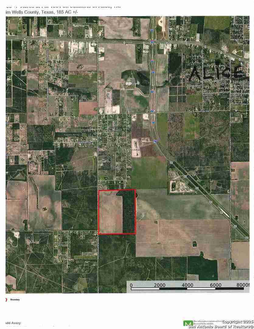 Land in Alice, Texas, United States 2 - 15396318