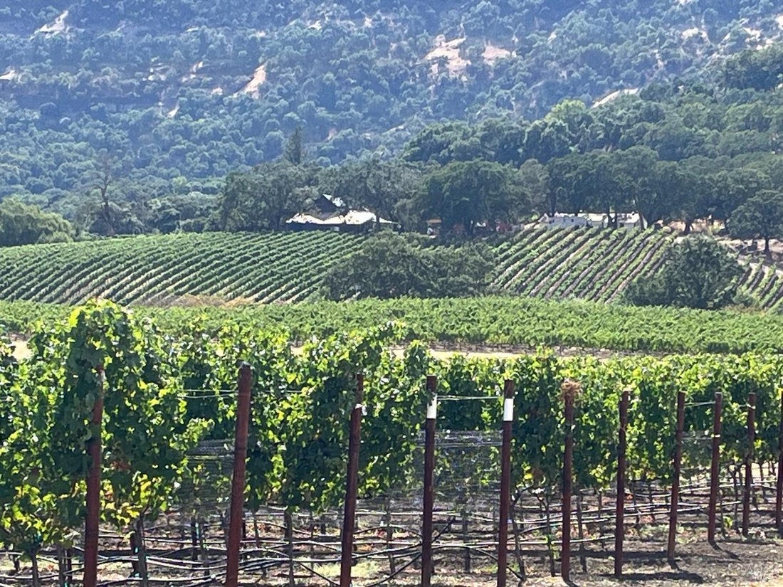 House in Napa, California, United States 3 - 15399895