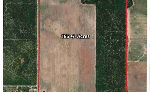 Land in Alice, Texas, United States 1