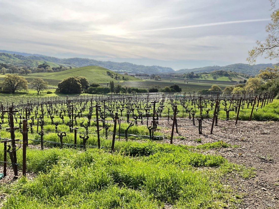 House in Napa, California, United States 2 - 15399895