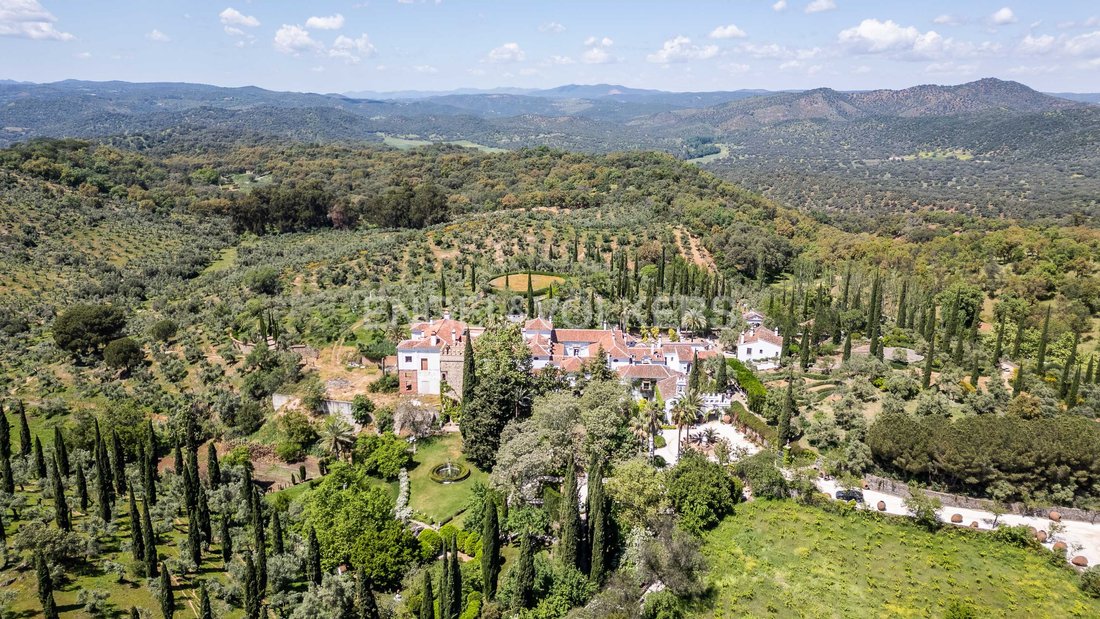 Finca in Constantina, Andalusia, Spain 5 - 14384723