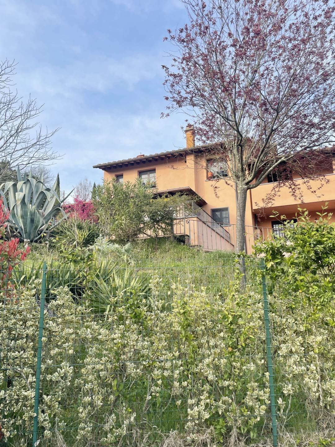 House in San Miniato, Tuscany, Italy 3 - 15401337