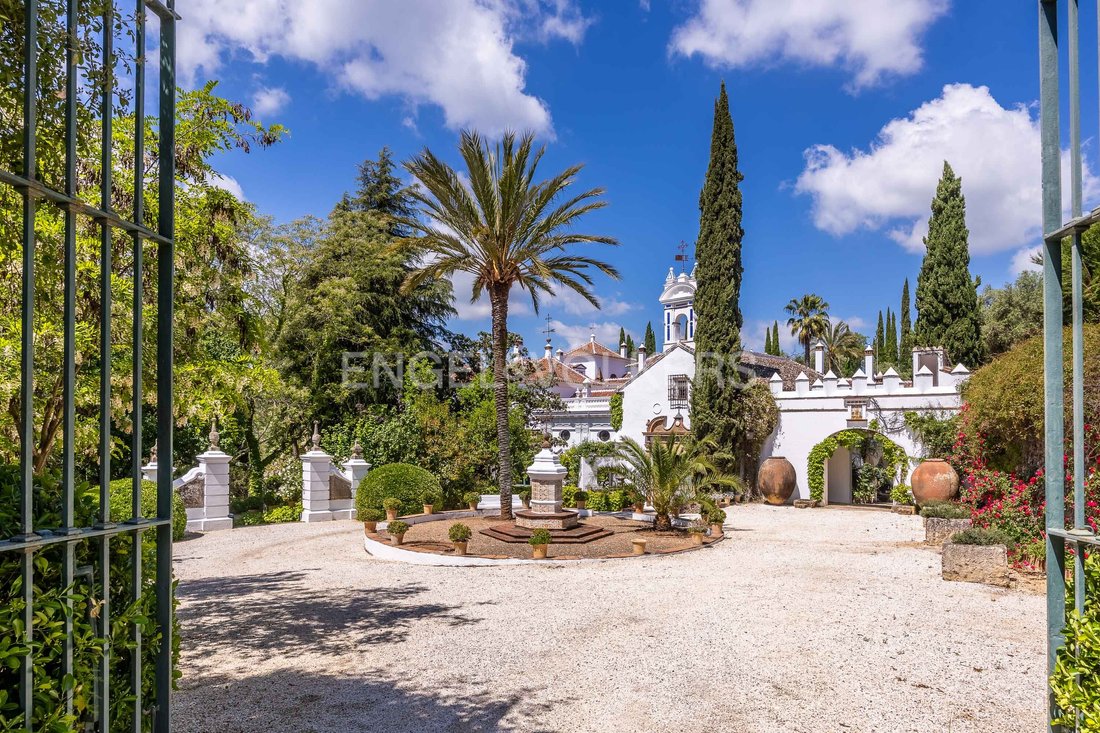 Finca in Constantina, Andalusia, Spain 3 - 14384723
