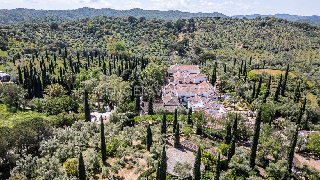 Finca in Constantina, Andalusia, Spain 4 - 14384723