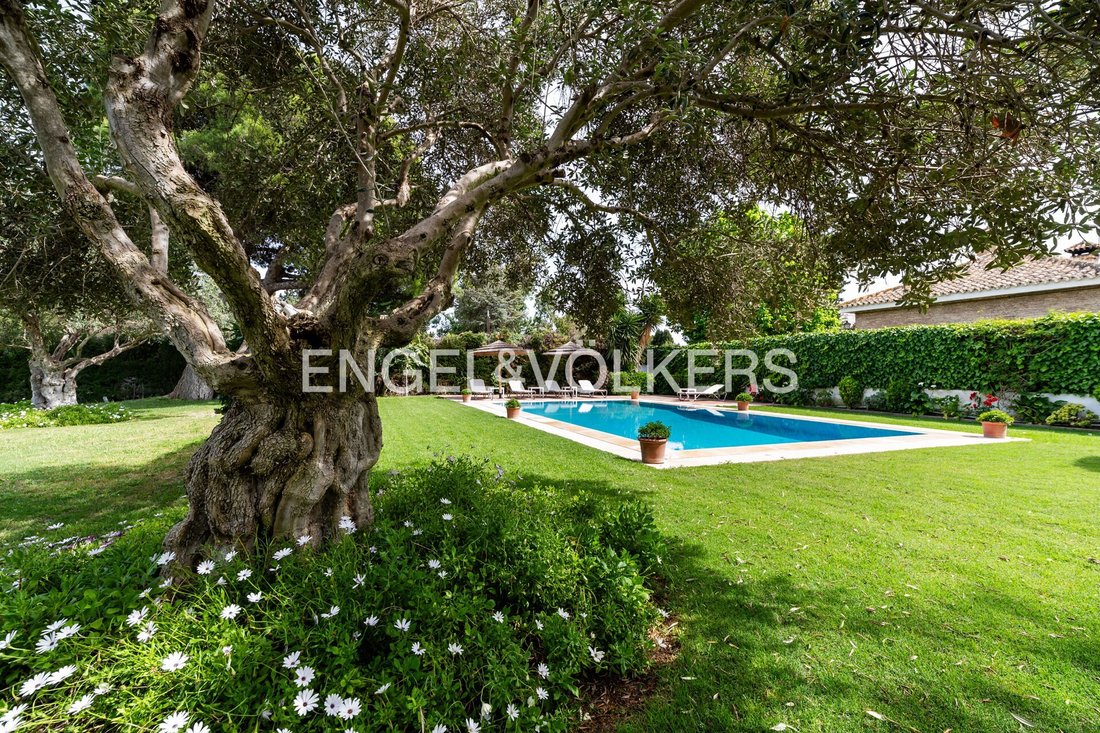 Villa in Jerez De La Frontera, Andalusia, Spain 2 - 14222445