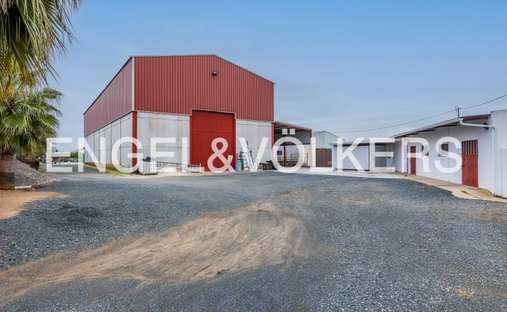 Land in Lora del Rio, Andalusia, Spain 1