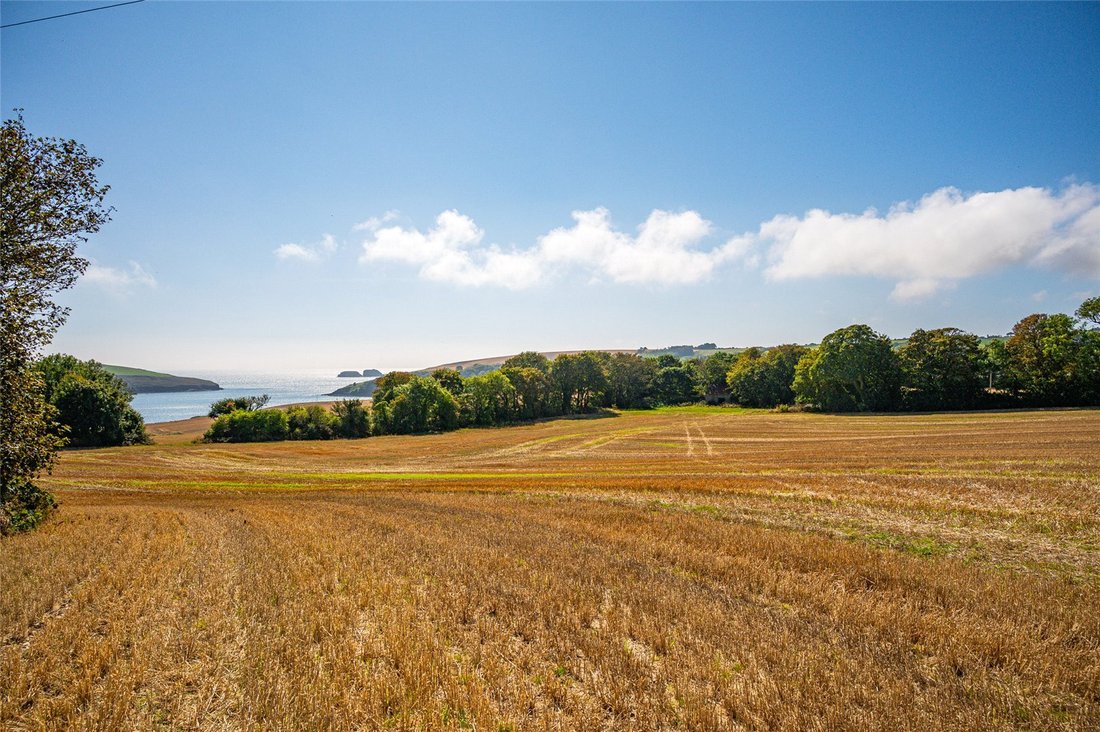 Land in Ballymaccus, County Cork, Ireland 5 - 15400115