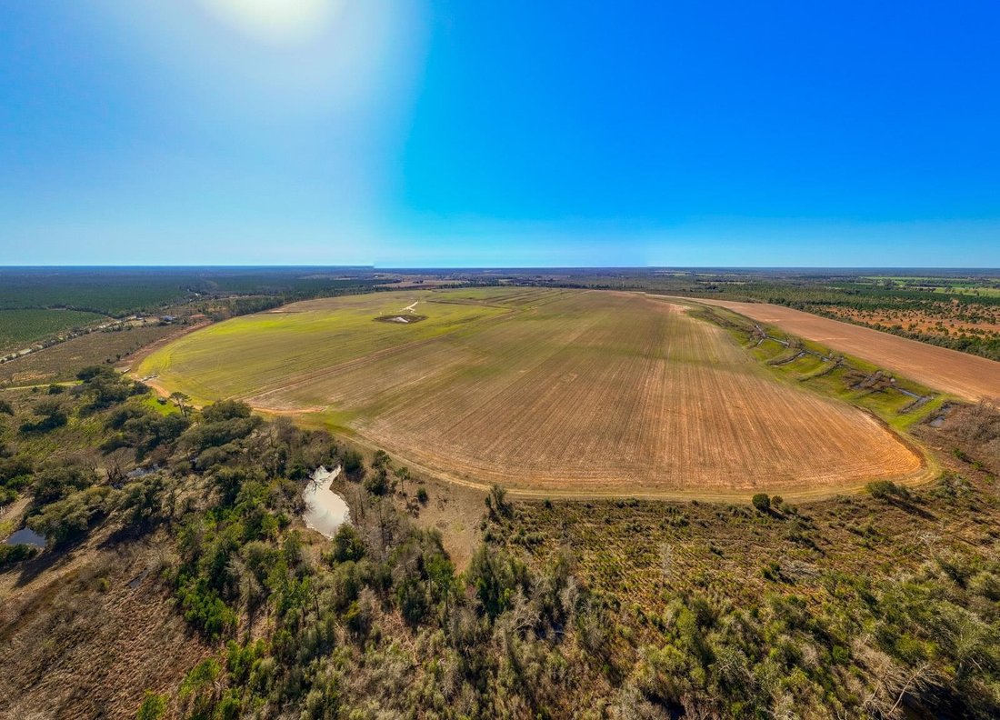 Land in Marianna, Florida, United States 5 - 15402198