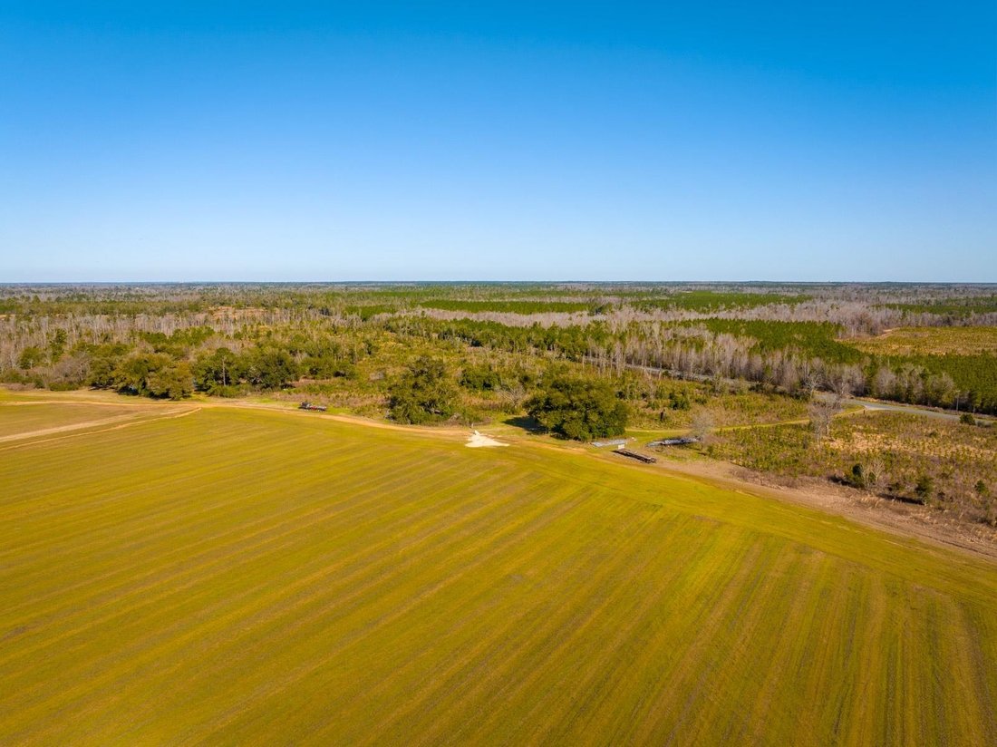 Land in Marianna, Florida, United States 4 - 15402198