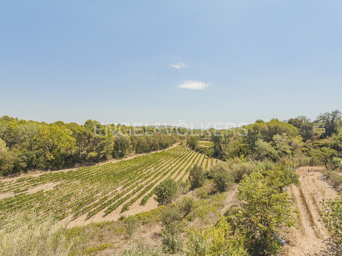 Sant Marti Sarroca, Catalonia, Spain 5 - 14763834