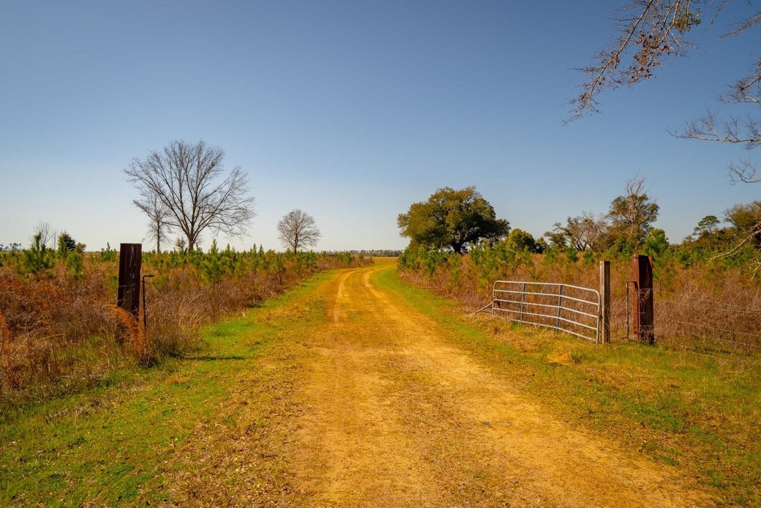 Land in Marianna, Florida, United States 2 - 15402198