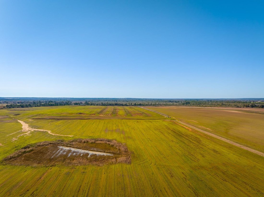 Land in Marianna, Florida, United States 3 - 15402198