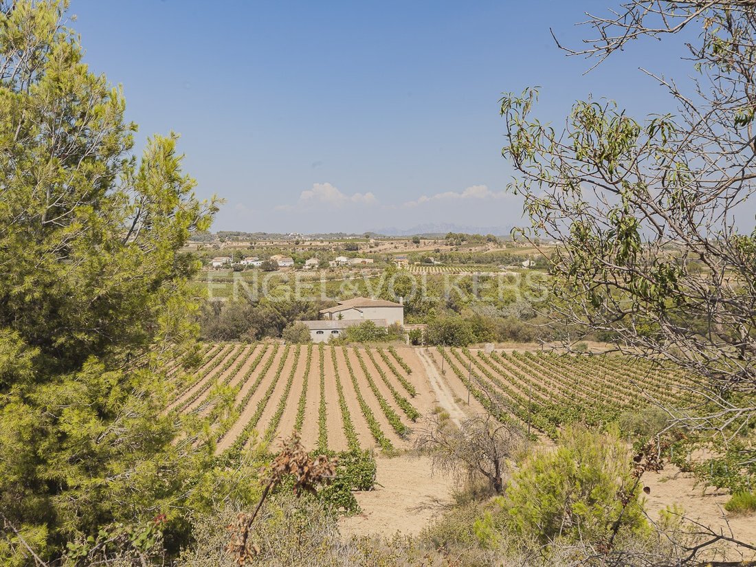 Sant Marti Sarroca, Catalonia, Spain 1 - 14763834