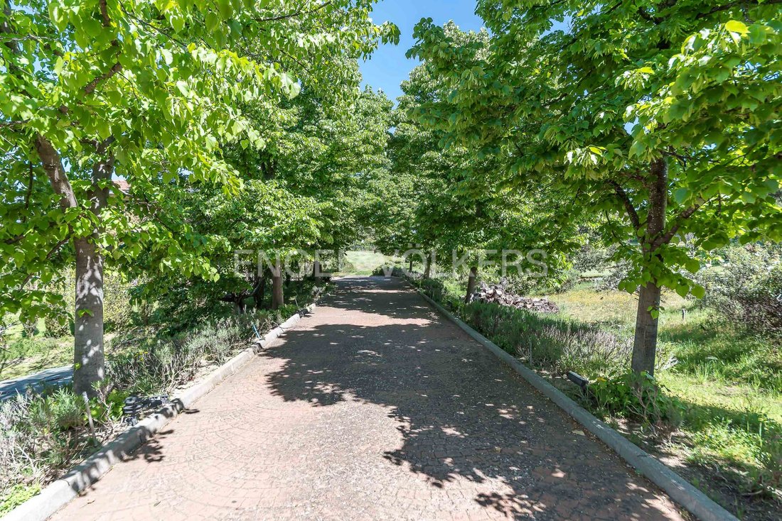 Land in Boadilla del Monte, Comunidad de Madrid, Spain 1 - 15271889