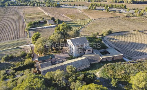 Finca in Sant Pere de Ribes, Catalonia, Spain 1