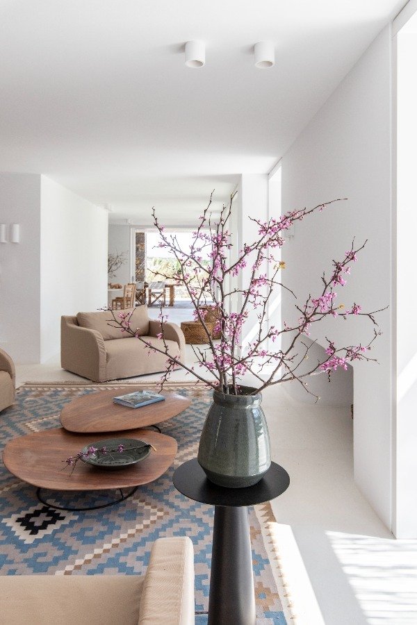 Villa in Paros, Aegean, Greece 5 - 15404119