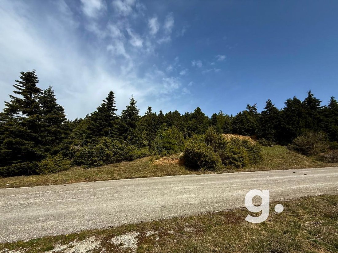 Land in Kastanea Community, Stymfalia, Greece 4 - 15406177