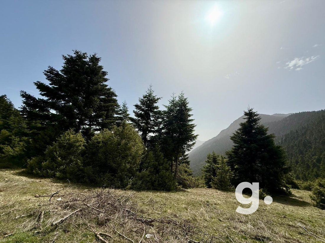 Land in Kastanea Community, Stymfalia, Greece 2 - 15406177