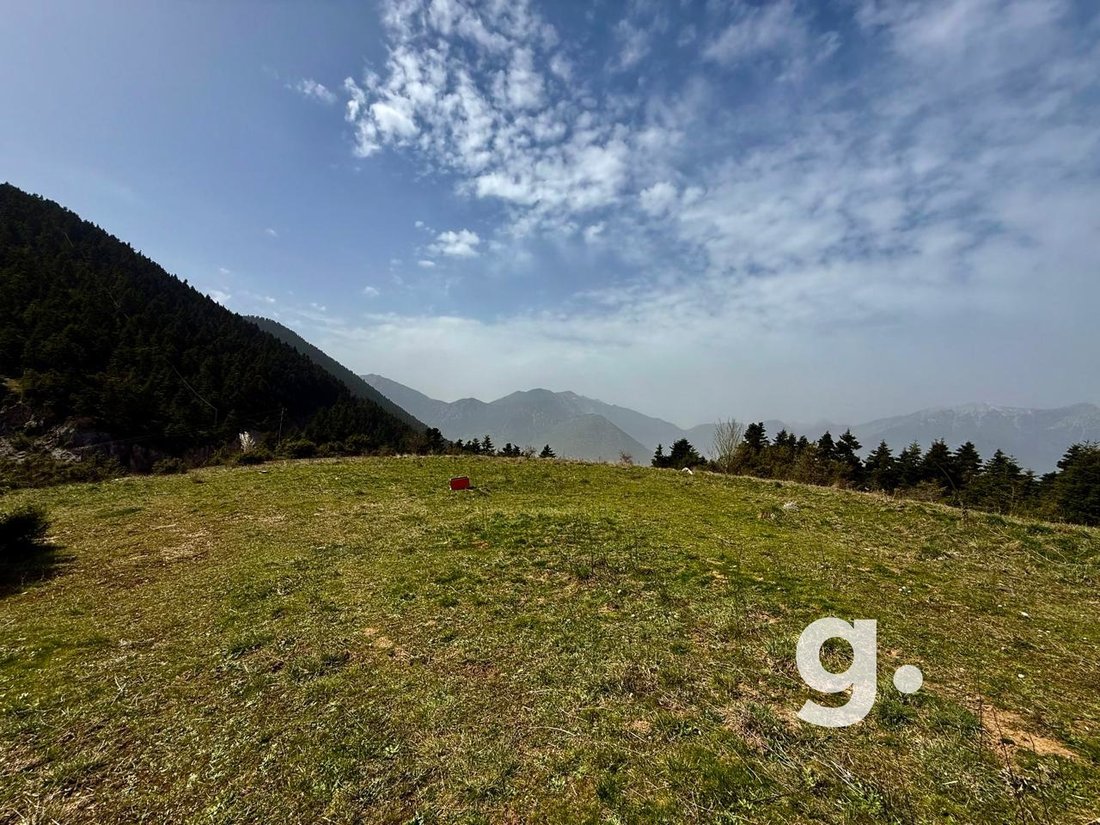 Land in Kastanea Community, Stymfalia, Greece 1 - 15406177
