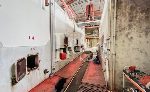 Castle for Sale in Saint-Laurent-des-Arbres, Occitanie, France