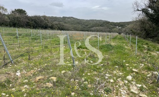 Castle for Sale in Saint-Laurent-des-Arbres, Occitanie, France