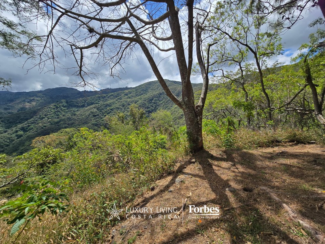 Land in Piedades, San José Province, Costa Rica 1 - 15407462