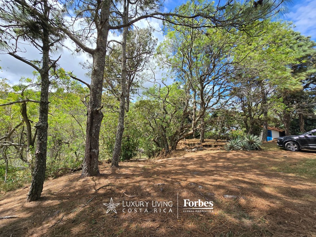 Land in Piedades, San José Province, Costa Rica 4 - 15407462