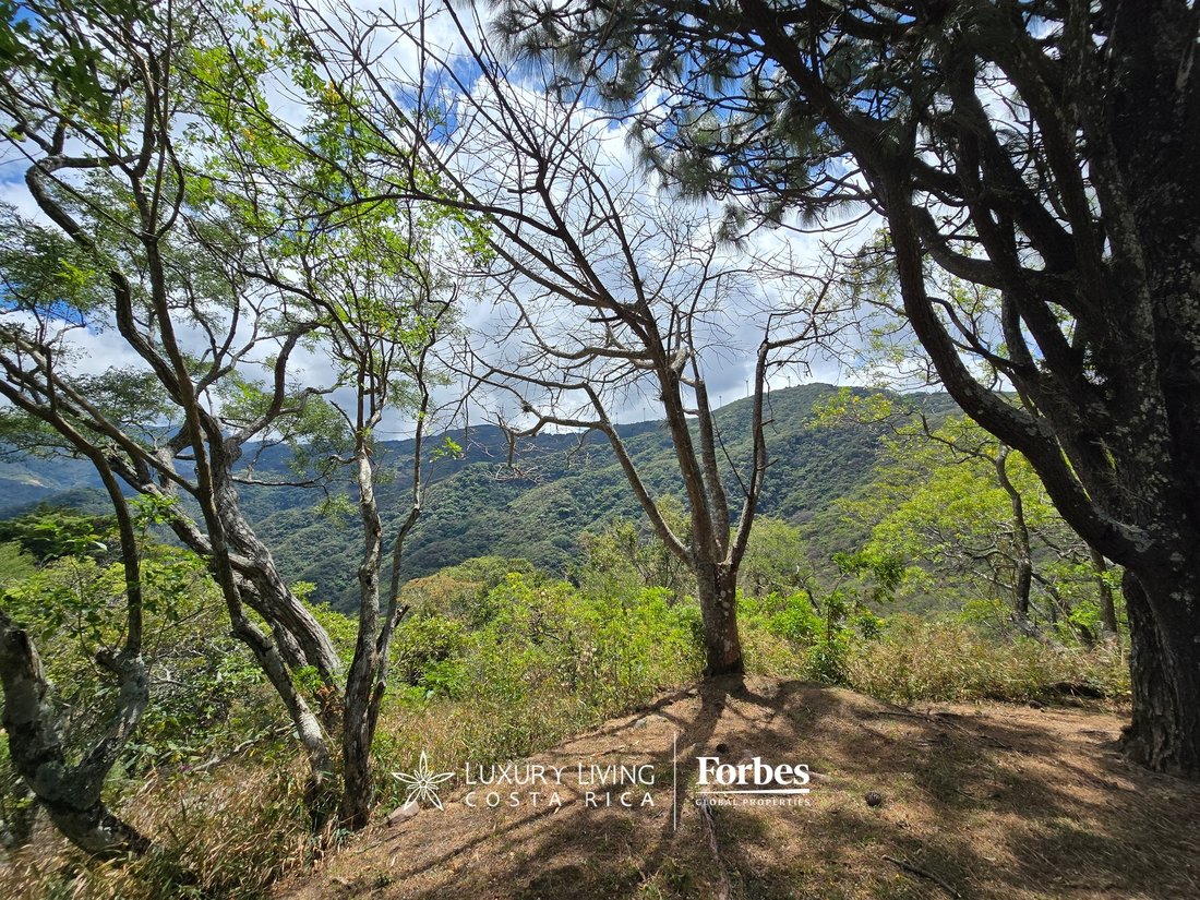 Land in Piedades, San José Province, Costa Rica 3 - 15407462