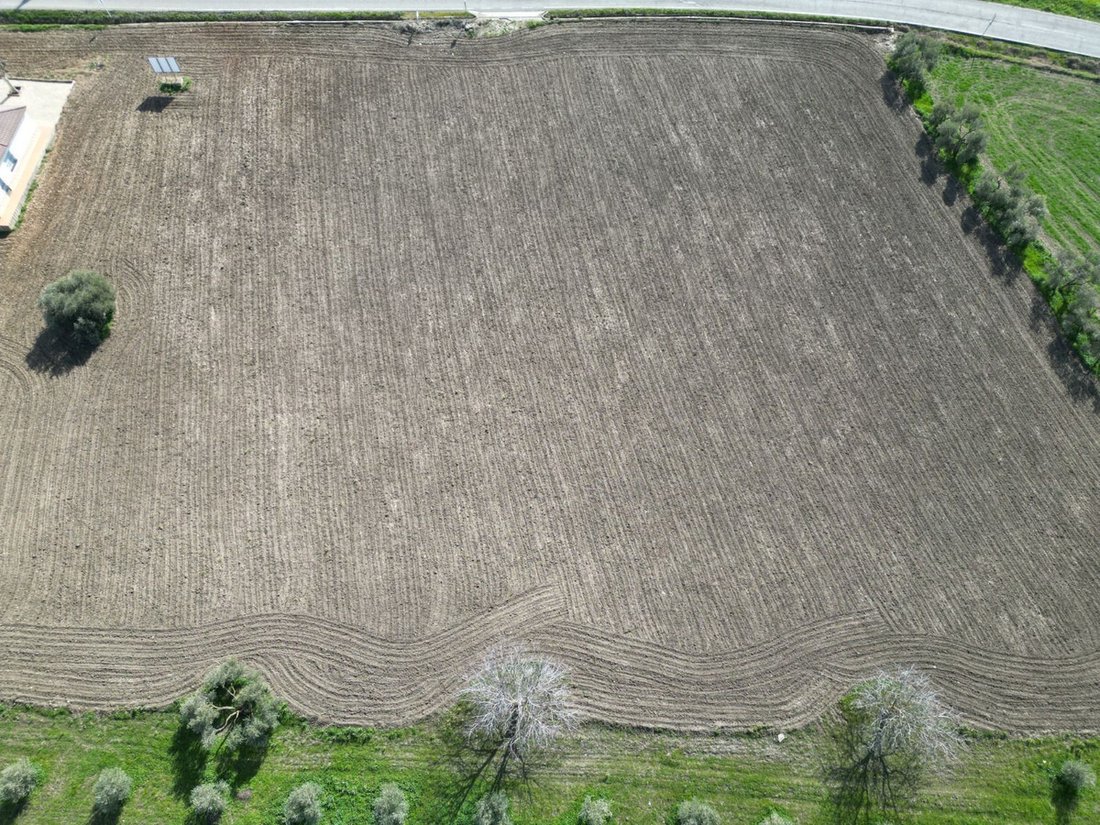 Land in Cuevas del Becerro, Andalusien, Spanien 3 - 14457593