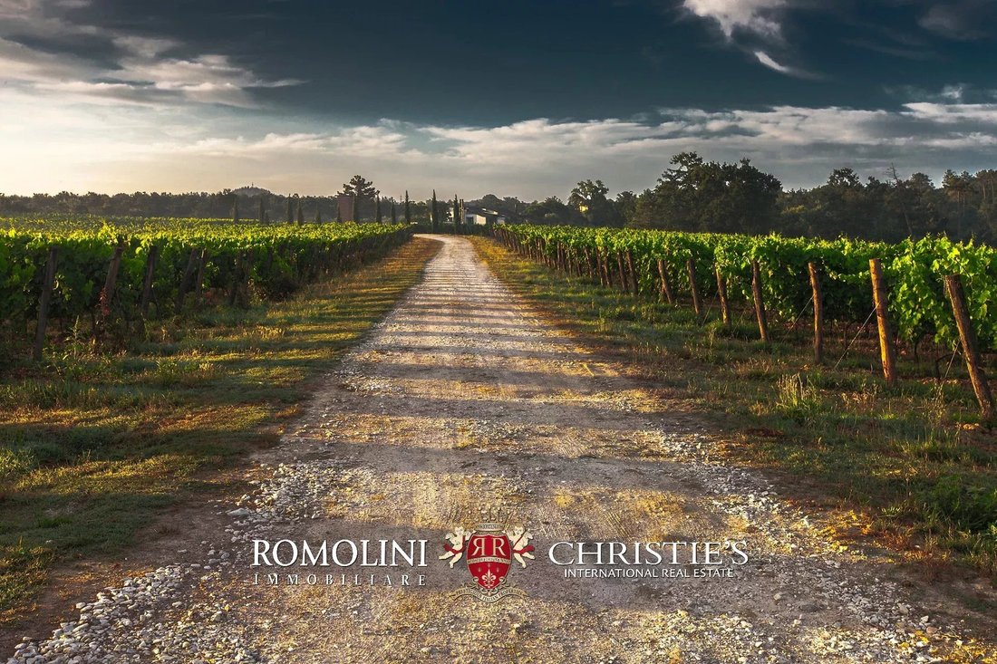 Rancho en Bolgheri, Toscana, Italia 3 - 15173416