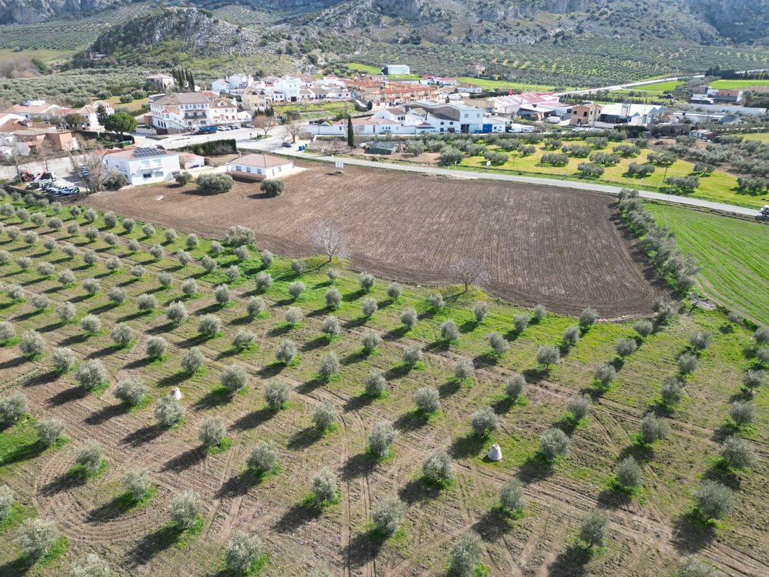 Land in Cuevas del Becerro, Andalusien, Spanien 2 - 14457593