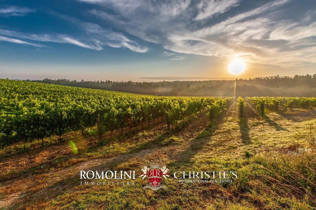 Rancho en Bolgheri, Toscana, Italia 1 - 15173416