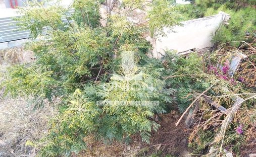 Land in 2nd District of Piraeus, Piraeus, Greece 1