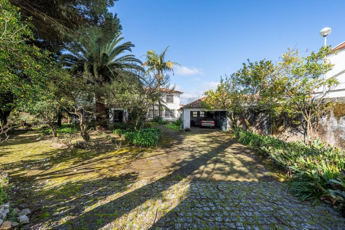 Townhouse in Sao Joao da Madeira, Aveiro District, Portugal 3 - 15409409
