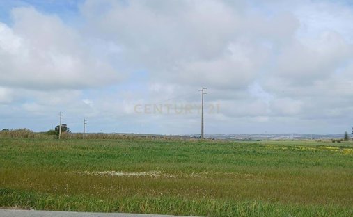 Land in Sao Pedro da Cadeira, Lisbon, Portugal 1