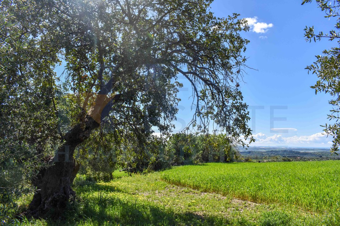 Land in Center, Noto, Sicily 4 - 15409944